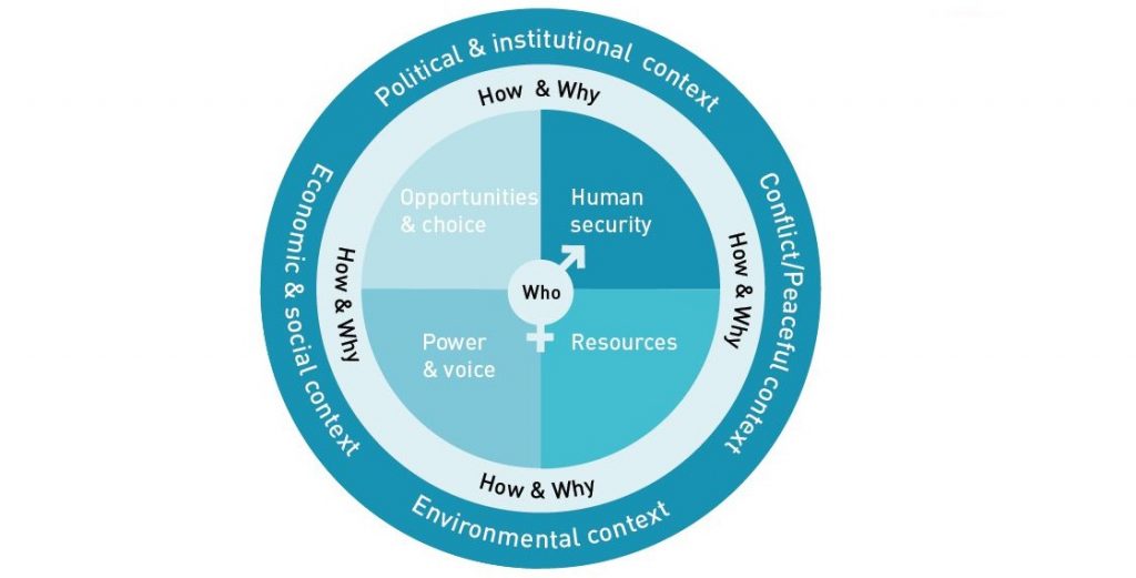 Bilden består av fyra cirklar i olika storlek som är placerade i varandra. I mitten av bilden finns den minsta cirkeln, det är modellens mittpunkt. Inuti den lilla cirkeln står det Vem med mörk text. Den lilla cirkeln utgör även en kombinerad bas för kvinno- och manstecknet. Kvinnans korstecken pekar nedåt från cirkeln och mannens pil pekar snett uppåt höger från cirkeln. Den lilla cirkeln är placerad mitt i en annan större cirkel. Denna större cirkel är uppdelad i fyra lika stora bitar, där varje bit pekar inåt mot den lilla cirkeln. Var och en av dessa bitar representerar de fyra dimensionerna av fattigdom. Den inre lilla cirkeln och den större cirkeln omges av två yttre ringar. ”Hur and Varför” står skrivet på fyra ställen i den första yttre ringen. Den yttersta ringen representerar de fyra olika kontexterna i en multidimensionell fattigdomsanalys: Konflikt och fred kontext, Miljökontext, Ekonomisk och social kontext samt Politisk and Institutionell kontext, vilka alla står skrivna i den yttersta ringen.